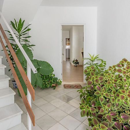 וחר דה לה פרונטרה Apartamento Los Naranjos En Vejer מראה חיצוני תמונה